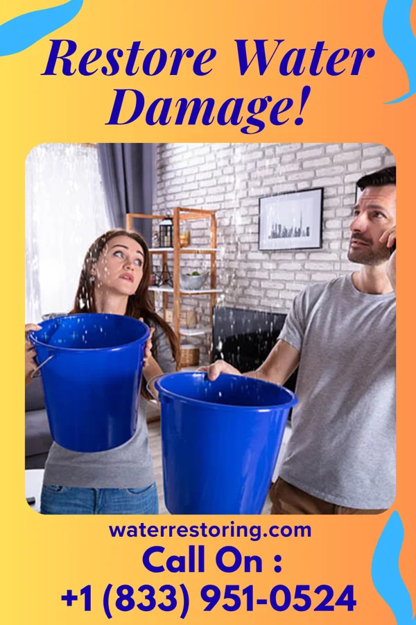water restoration Lightning Flood Damage Professionals Qulin