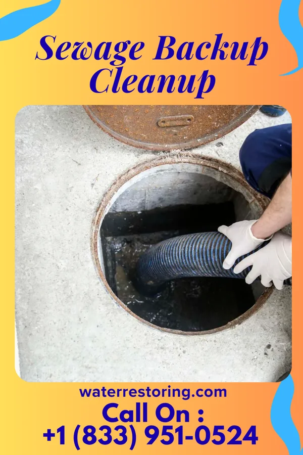 Sewage Backup Cleanup in Qulin, MO